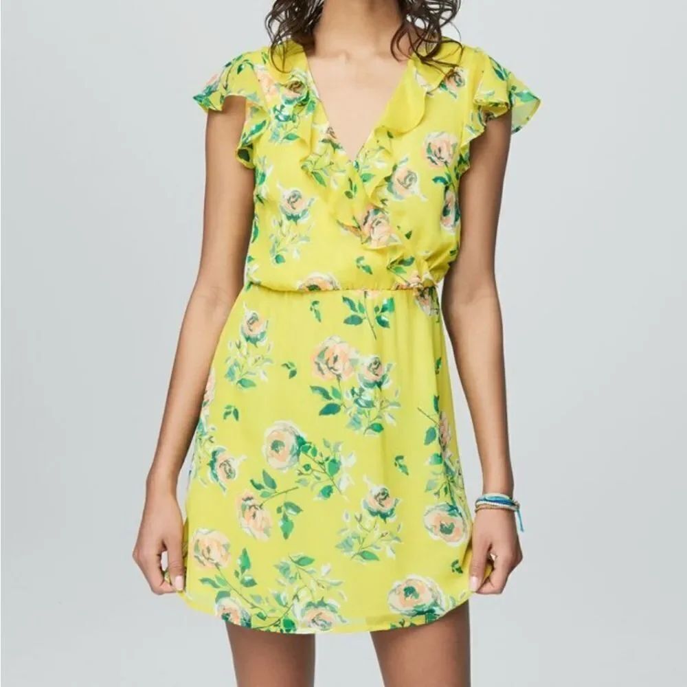 Aeropostale Prince and Fox Ruffled Floral Dress